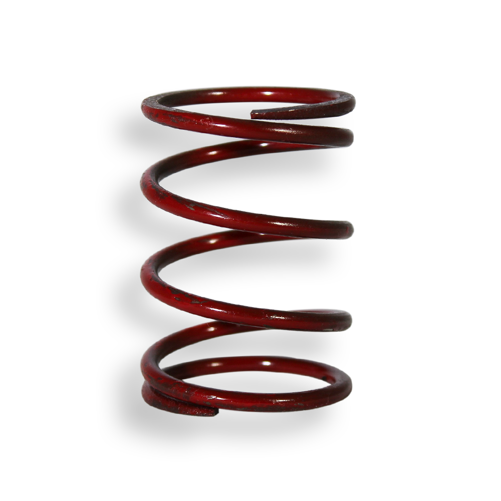 SteamSpeed Wastegate Pro & IWG75 6 Spring Set